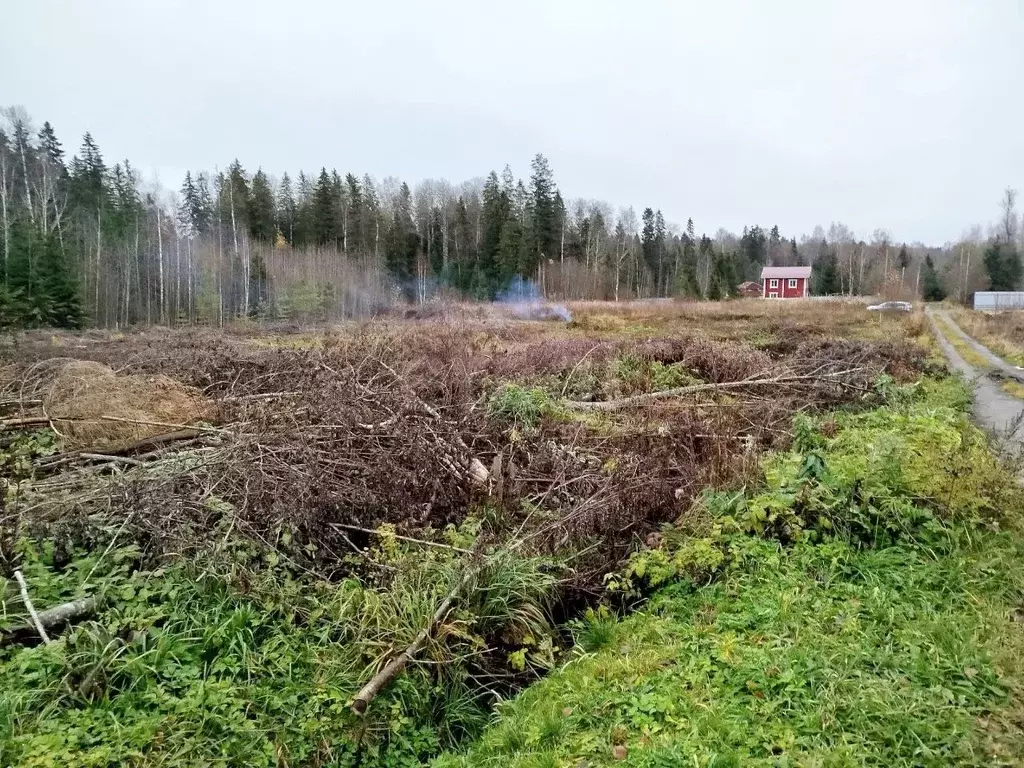 Участок в Вологодская область, Березка-3 садоводческое товарищество  ... - Фото 1