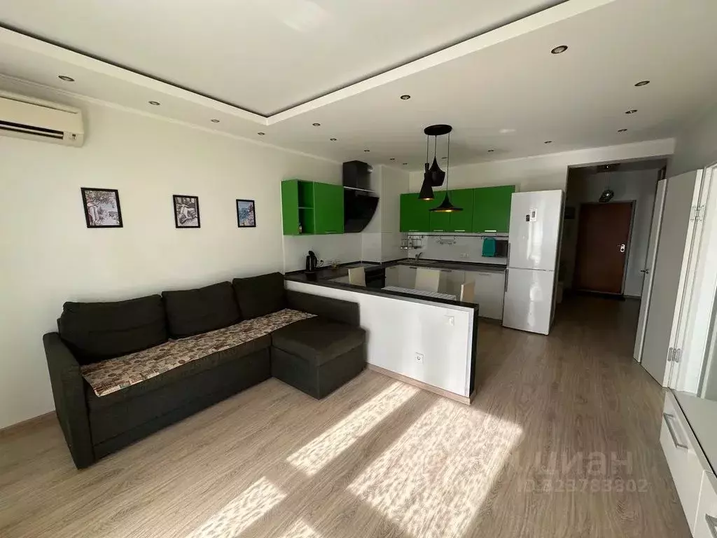 1-к кв. Краснодарский край, Сочи ул. Кирпичная, 2к1 (65.0 м) - Фото 1