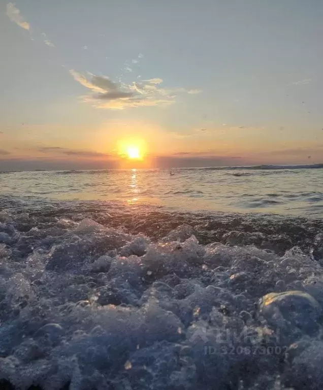 Участок в Калининградская область, Балтийск Балтийская Гавань СНТ,  ... - Фото 1