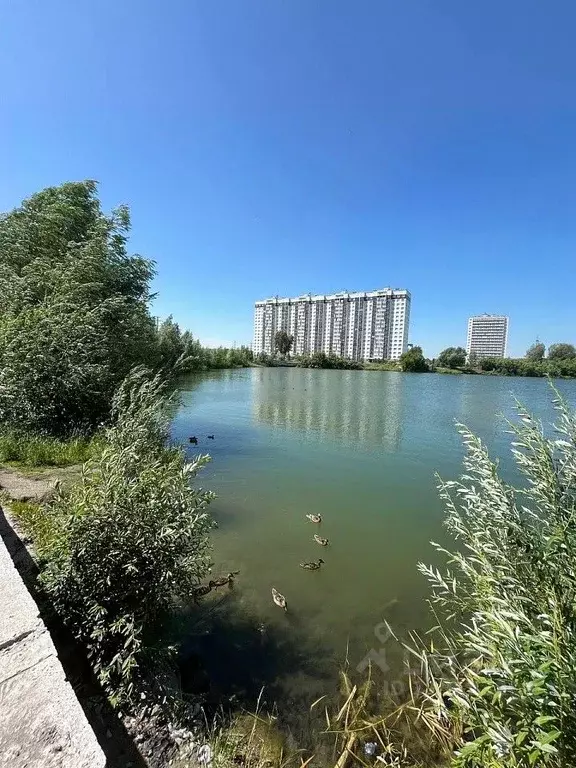 1-к кв. Новосибирская область, Новосибирск ул. Забалуева, 69 (37.7 м) - Фото 0