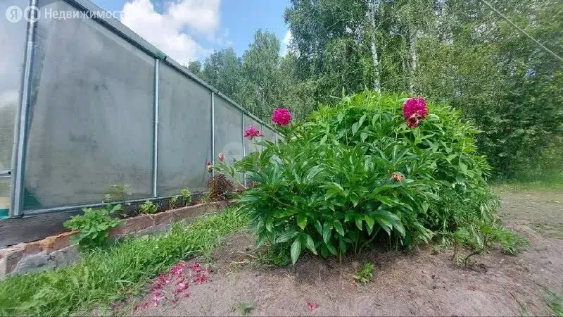 Дом в Тюменская область, Нижнетавдинский муниципальный округ, поселок ... - Фото 2