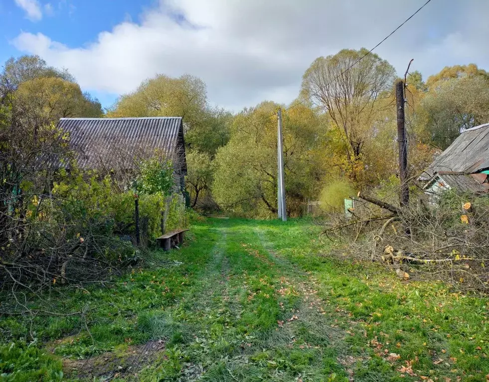 Участок в Калужская область, Козельский район, с. Волконское  (24.0 ... - Фото 2
