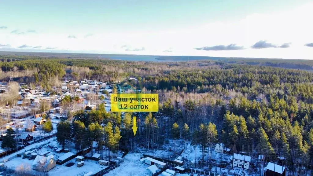 Участок в Ленинградская область, Приозерский район, Ромашкинское ... - Фото 2