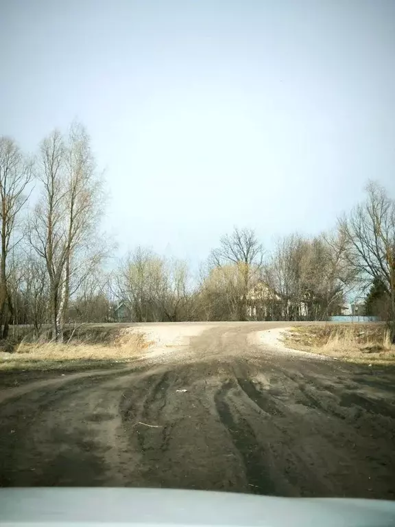 Участок 10 сот. (ИЖС) - Фото 1