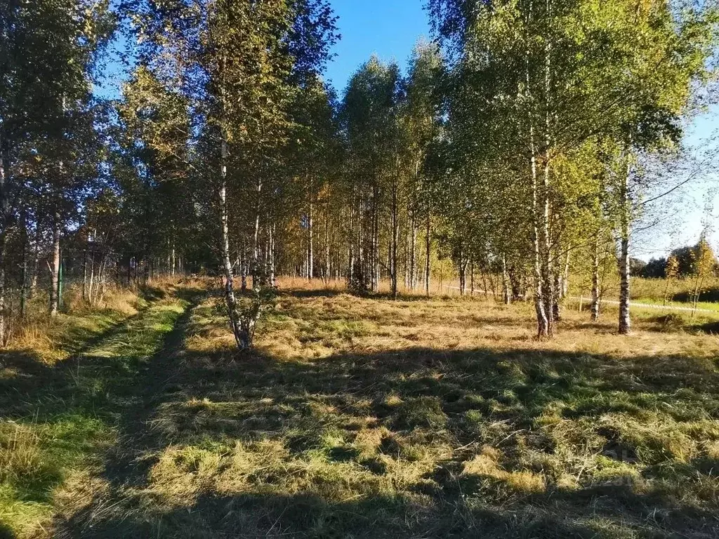 Участок в Тверская область, Пеновский муниципальный округ, д. Заречье  ... - Фото 2