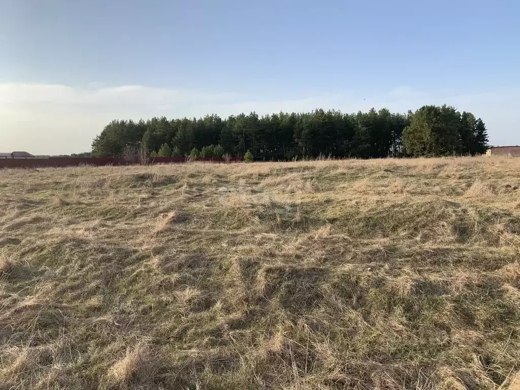 Участок в Саратовская область, Балашовский район, с. Большой Мелик ул. ... - Фото 2
