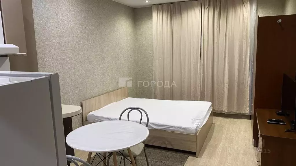 Студия Новосибирская область, Новосибирск ул. Надежды, 6 (24.0 м) - Фото 2