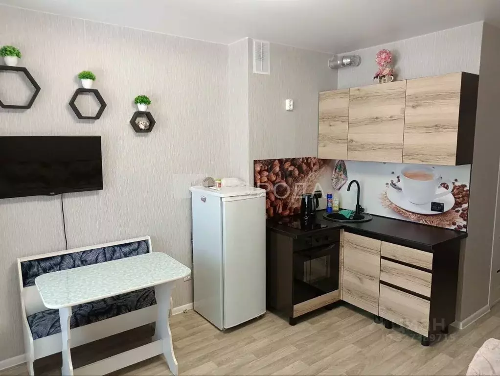 Студия Новосибирская область, Новосибирский район, Станционный ... - Фото 2