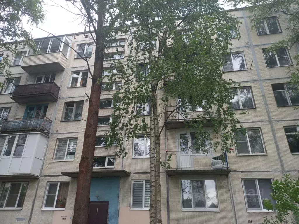 Комната Санкт-Петербург ул. Козлова, 51К2 (14.0 м) - Фото 0