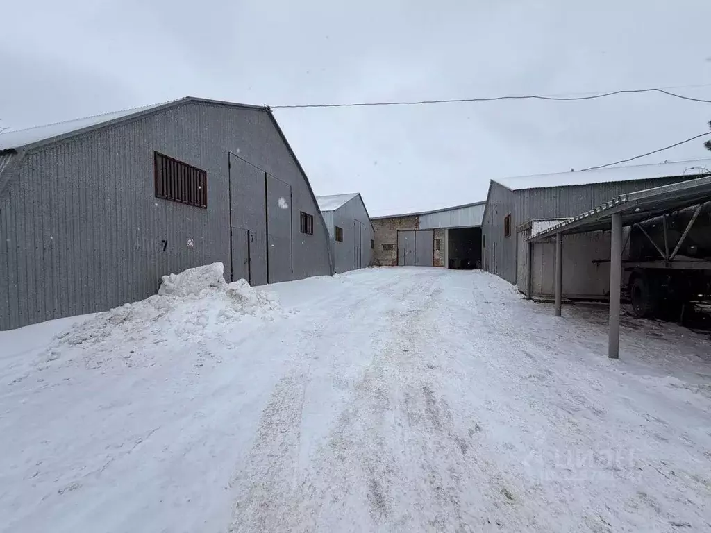 Склад в Саратовская область, Саратов Сокурский тракт, 28А (800 м) - Фото 2