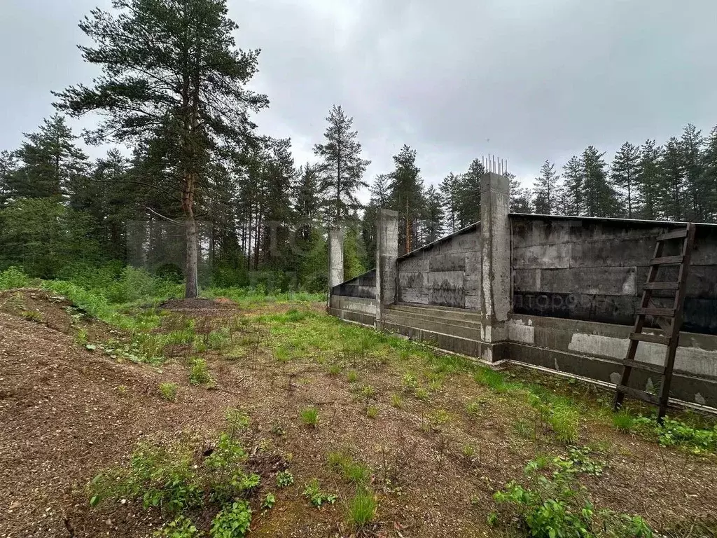 Участок в Новгородская область, Окуловка ул. Кропоткина (50.0 сот.) - Фото 1