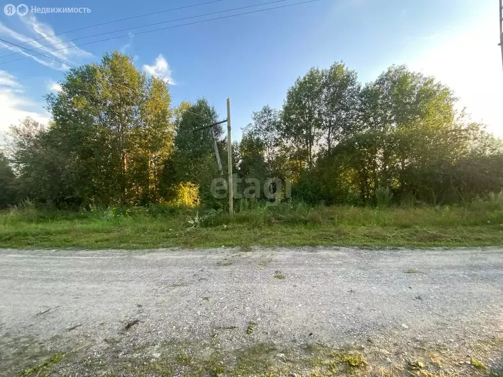 Участок в Томский район, Зоркальцевское сельское поселение, село ... - Фото 1