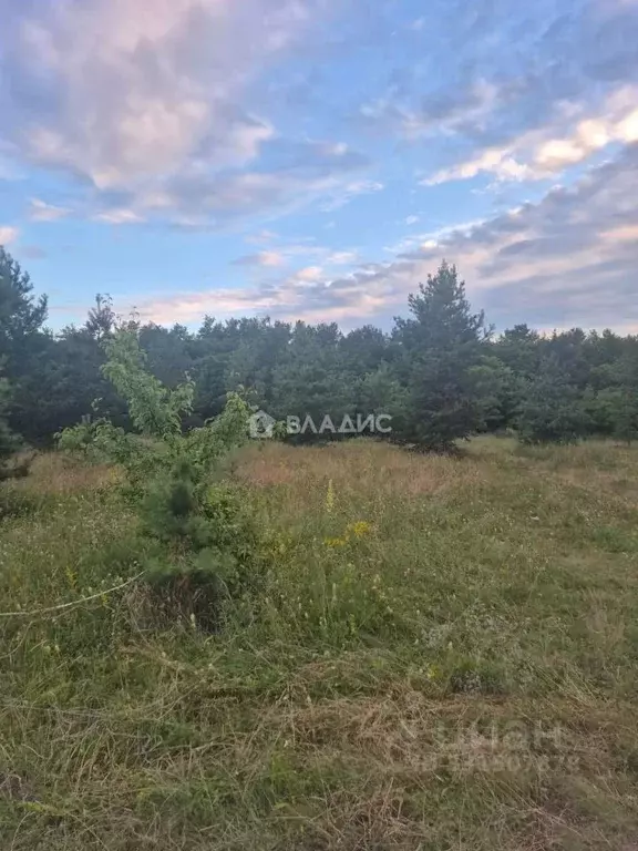 Участок в Воронежская область, Воронеж ул. Малышевская (8.0 сот.) - Фото 2