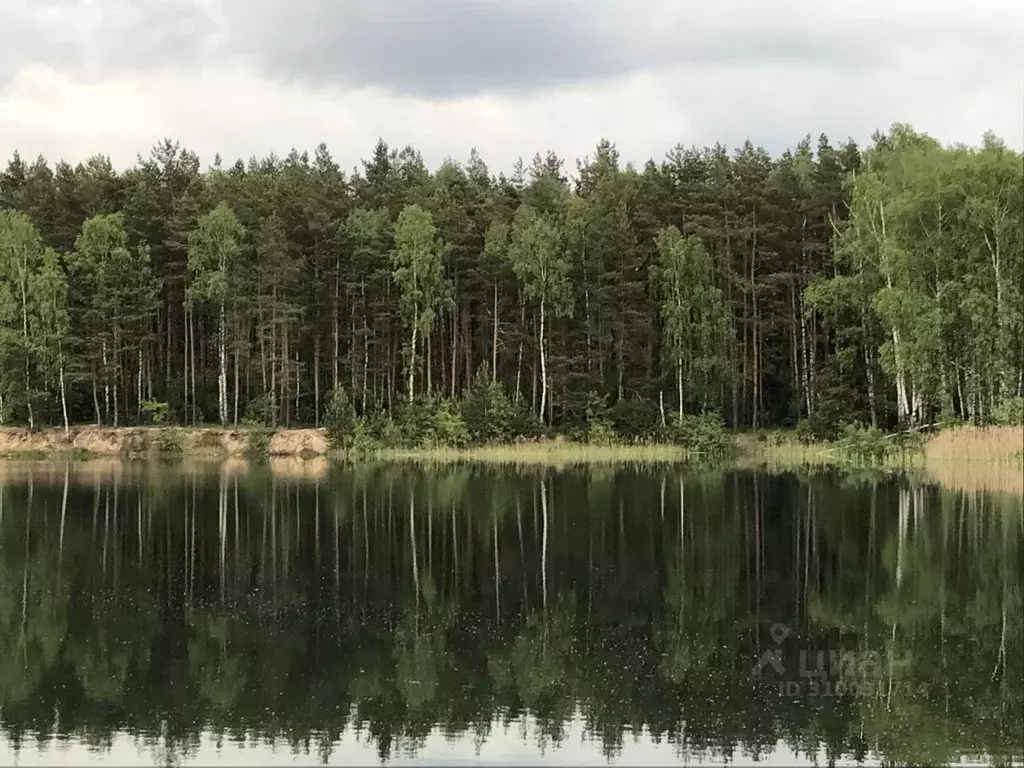 Участок в Московская область, Балашиха  (12.0 сот.) - Фото 0