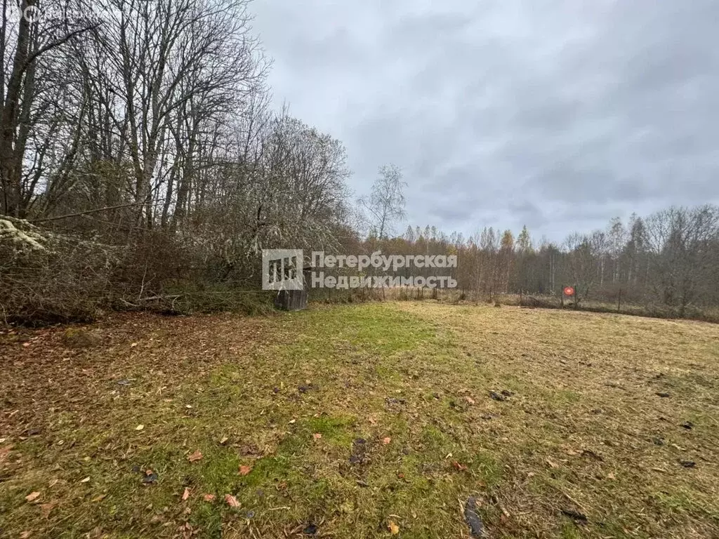 Участок в Гдовский район, Плесновская волость, деревня Каменка (15 м) - Фото 2