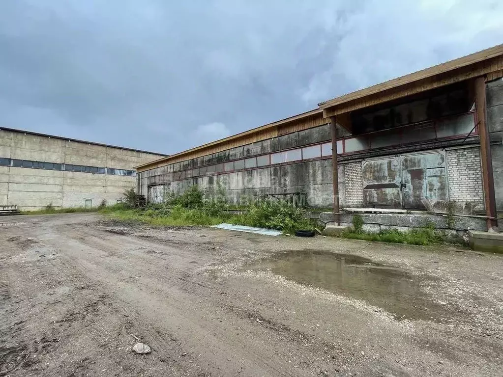 Склад в Новгородская область, Великий Новгород Нехинская ул., 57Г (216 ... - Фото 0