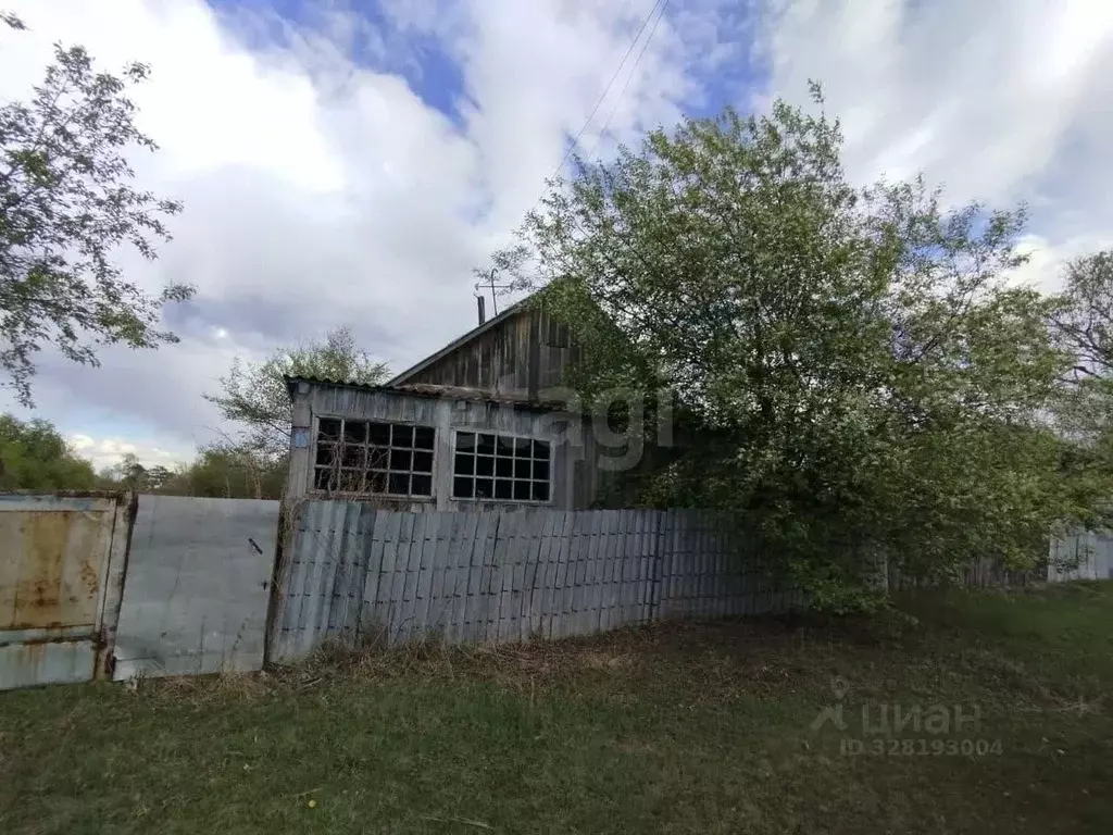 Участок в Амурская область, Ивановский муниципальный округ, с. ... - Фото 1