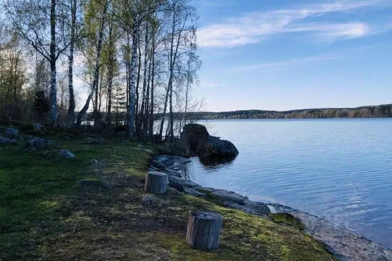Дом в Карелия, Сортавальский район, Хаапалампинское с/пос, пос. ... - Фото 1