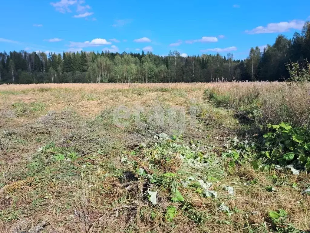 Участок в Костромская область, Костромской район, Кузьмищенское с/пос, ... - Фото 1
