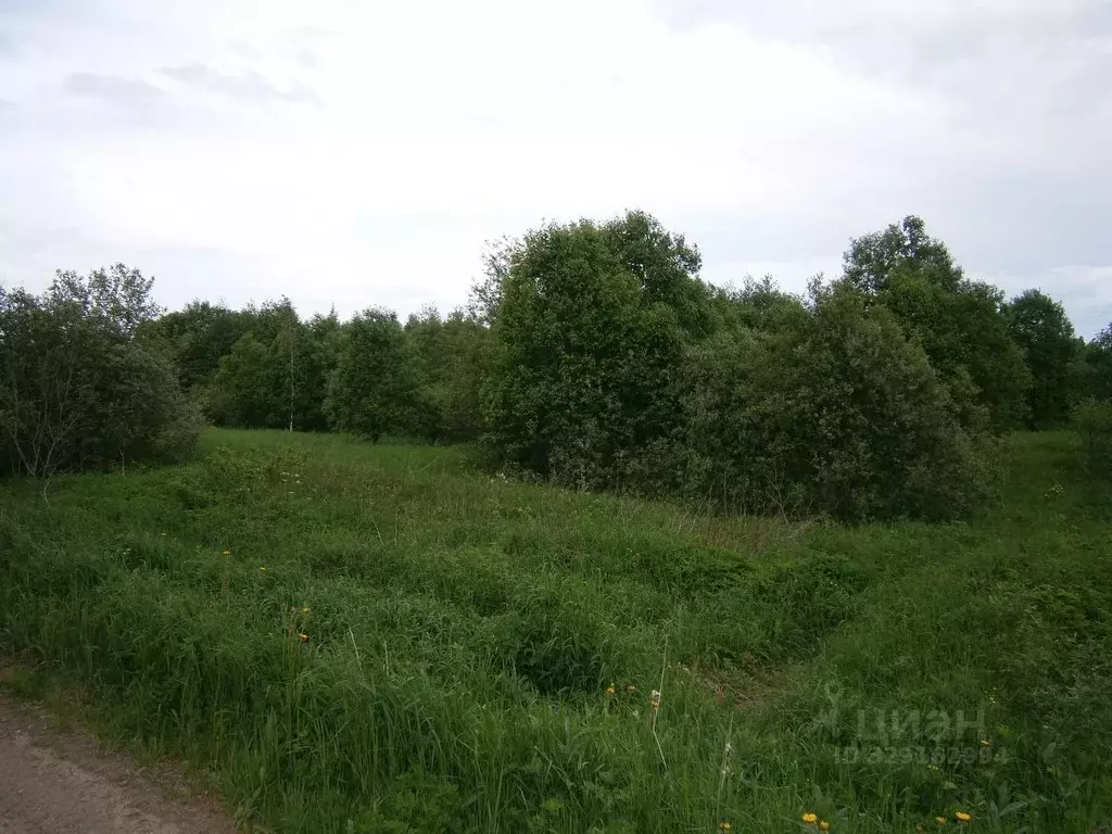 Участок в Новгородская область, Валдайский муниципальный район, ... - Фото 2