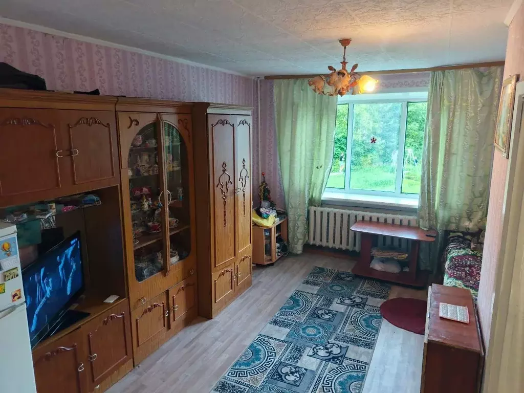 1-к кв. Новосибирская область, Искитим Центральная ул., 20 (30.0 м) - Фото 0