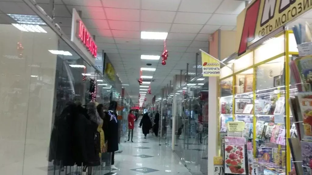 Торговая площадь в Омская область, Омск ул. 10 лет Октября, 113 (55 м) - Фото 0