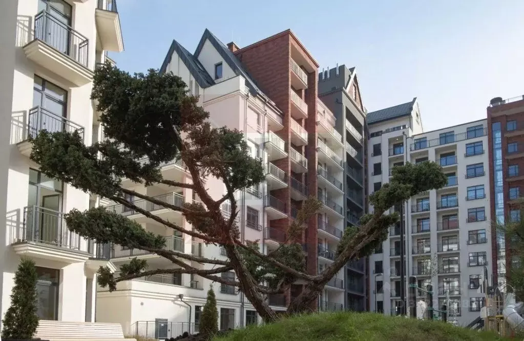 3-к кв. Калининградская область, Калининград ул. Молодой Гвардии, 32 ... - Фото 1