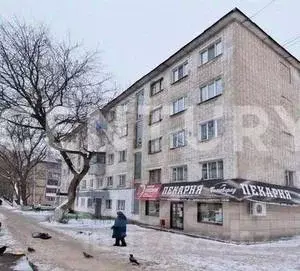 1-к кв. Мордовия, Саранск ул. Степана Разина, 48 (17.9 м) - Фото 0