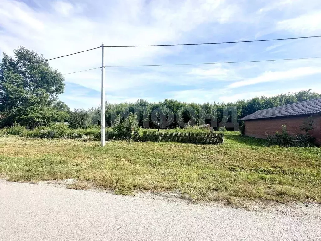 Участок в Новосибирская область, Новосибирский район, с. Ярково ... - Фото 1