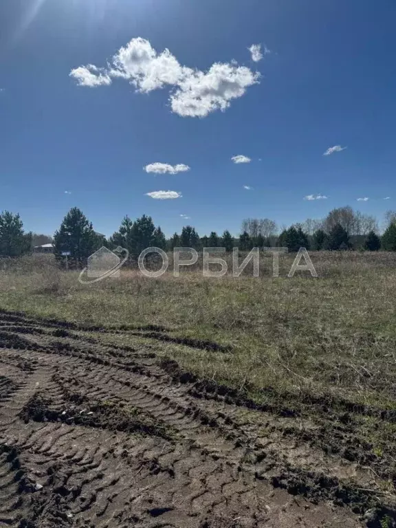 Участок в Тюменская область, Тюменский район, Новокаменский кп ул. ... - Фото 1