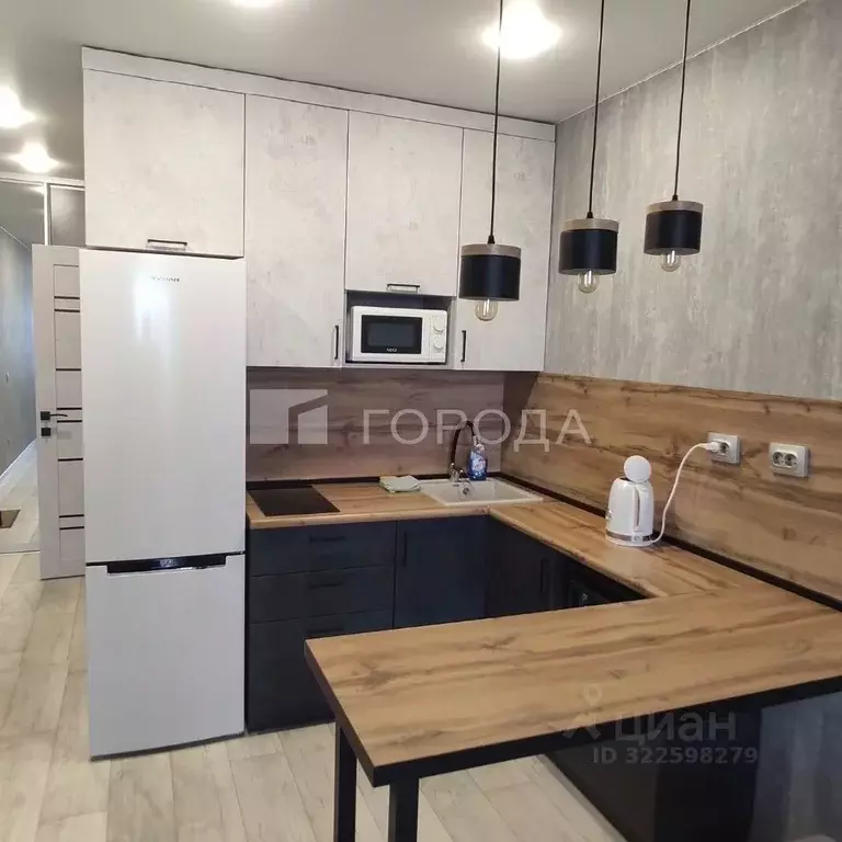 Студия Новосибирская область, Новосибирск ул. Забалуева, 102 (27.3 м) - Фото 1