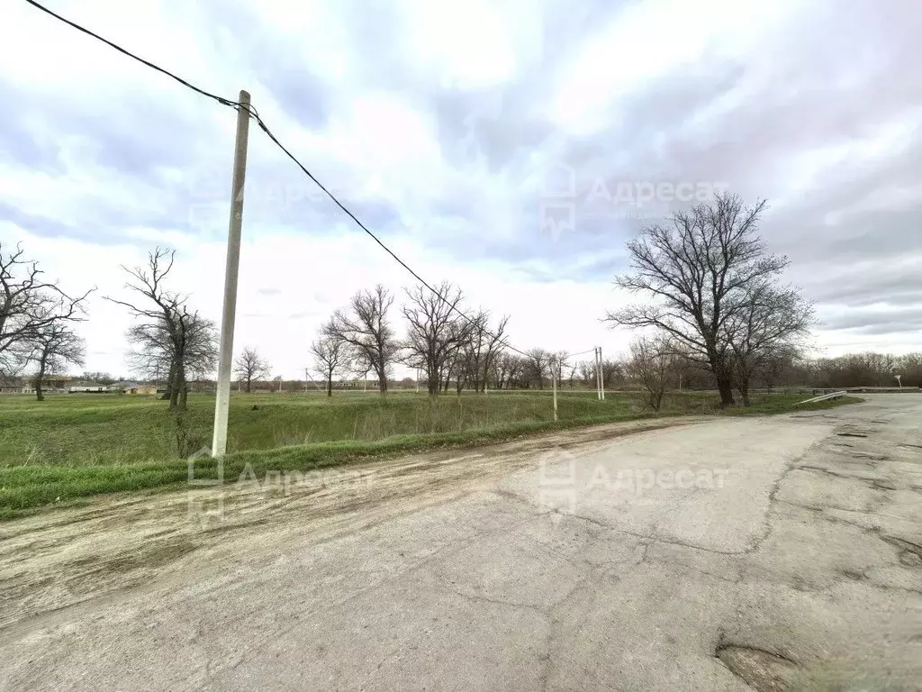 Участок в Волгоградская область, Краснослободск Среднеахтубинский ... - Фото 2