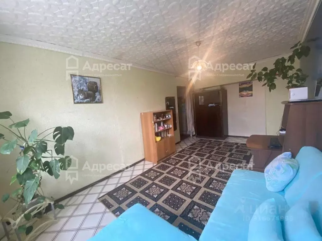 Комната Волгоградская область, Волгоград Лазоревая ул., 187 (18.4 м) - Фото 1