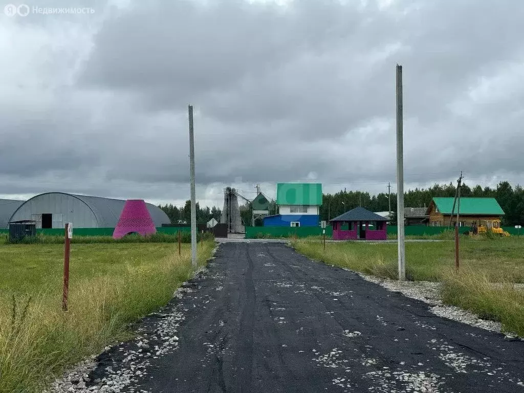 Участок в Свердловская область, Тугулымский муниципальный округ, село ... - Фото 1