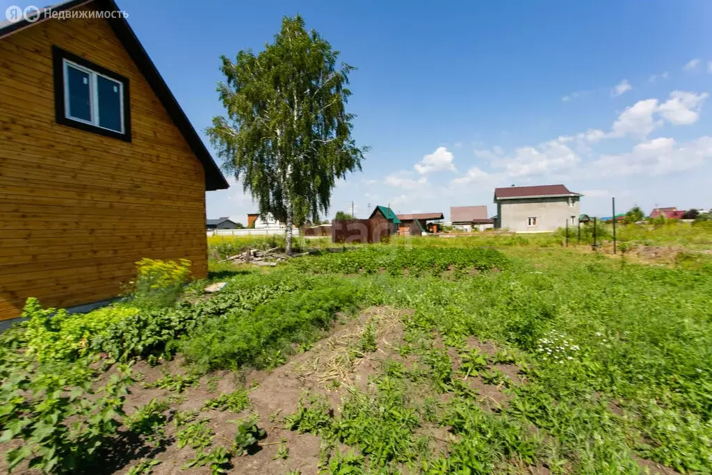 Участок в Толмачёвский сельсовет, СНТ Рябинка Обская (7.4 м) - Фото 1