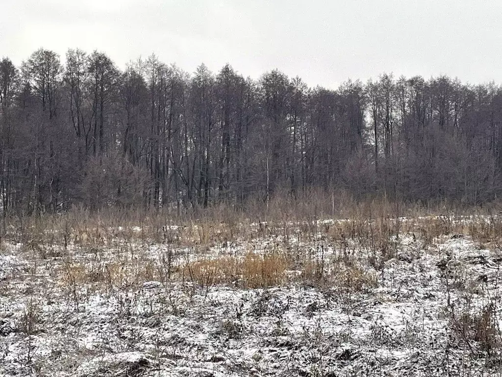 Участок в Московская область, Бронницы  (10.0 сот.) - Фото 0