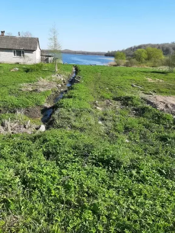 Участок в Псковская область, Дедовичский район, Пожеревицкая волость, ... - Фото 1