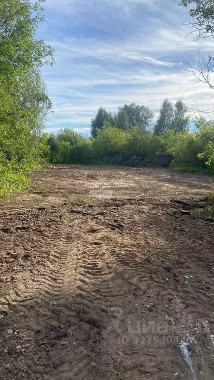 Участок в Марий Эл, Волжск Луговое-2 СНТ, 217 (6.0 сот.) - Фото 1