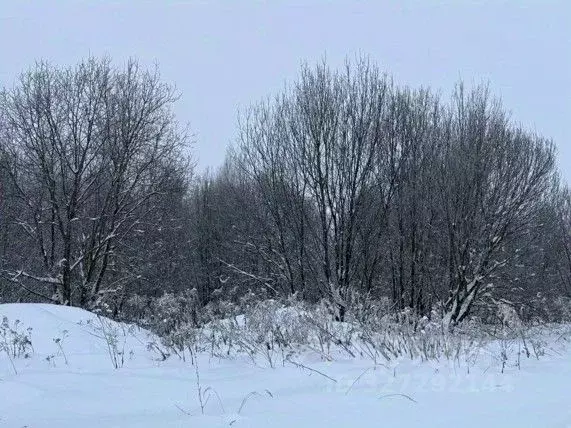 Участок в Московская область, Серпухов городской округ, с. Липицы  ... - Фото 1