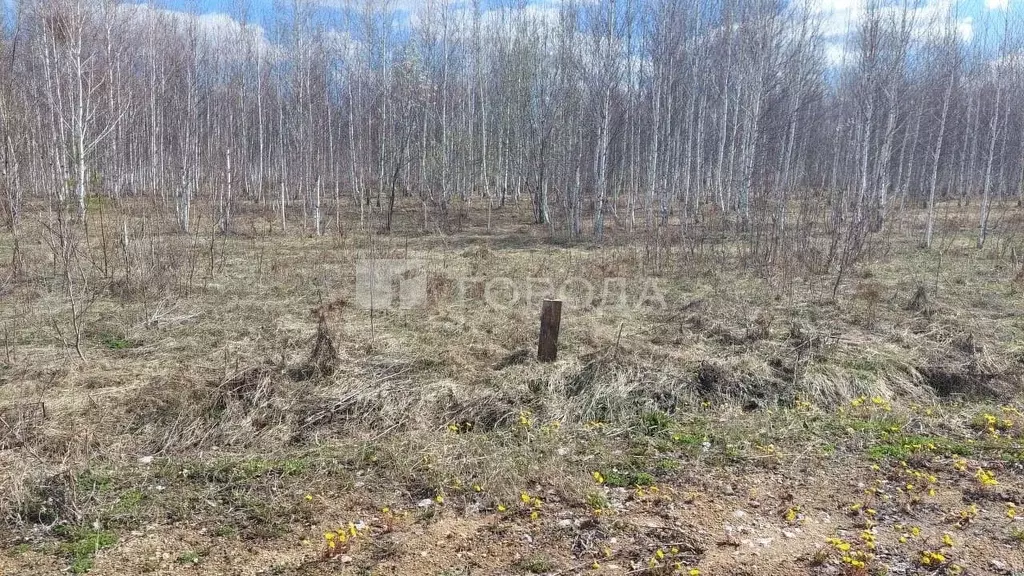 Участок в Новосибирская область, Новосибирский район, Каменский ... - Фото 0