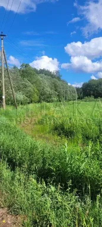 Участок в Ленинградская область, Приозерский район, Ларионовское ... - Фото 1