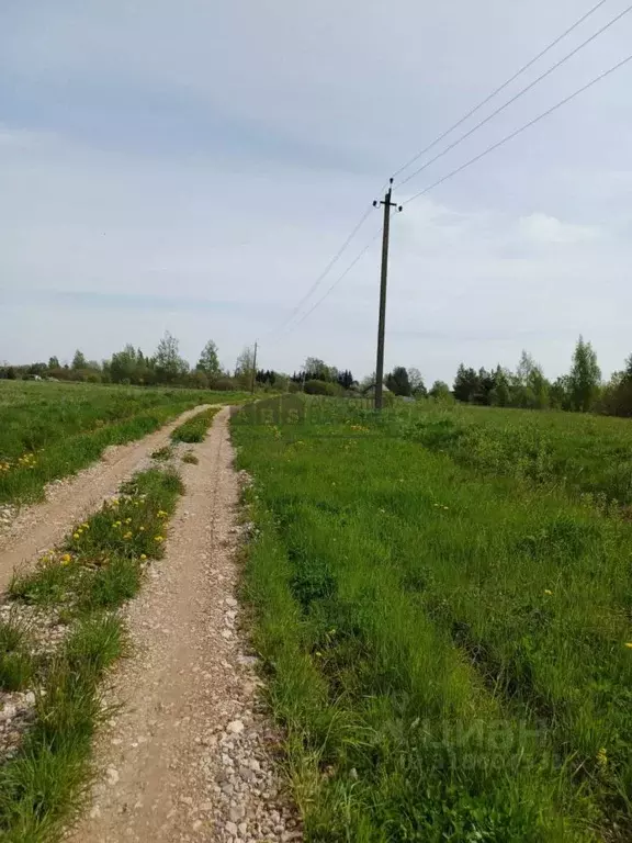 Участок в Новгородская область, Новгородский район, Трубичинское ... - Фото 1