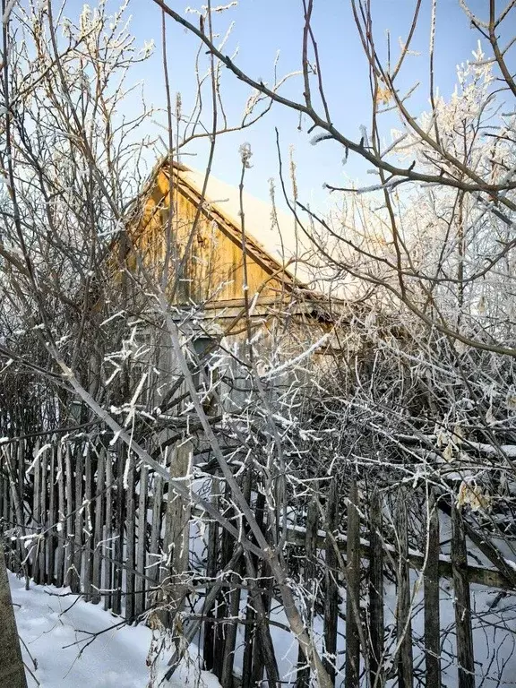 Дом в Омская область, с. Азово ул. Комсомольская, 1 (50 м) - Фото 0