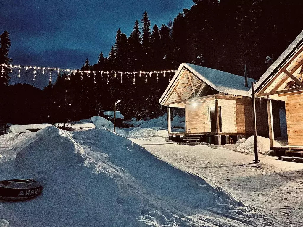 Дом в Алтай, Турочакский район, с. Артыбаш пер. Еловый, 6 (30 м) - Фото 1