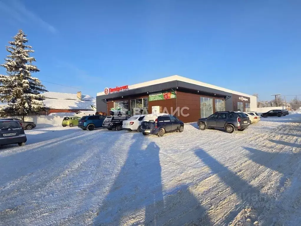 Торговая площадь в Липецкая область, Липецкий муниципальный округ, с. ... - Фото 1