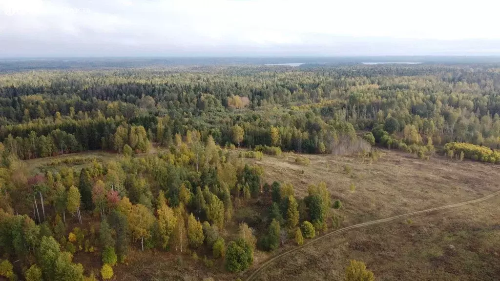 Участок в Республика Карелия, Питкярантский муниципальный округ, ... - Фото 1