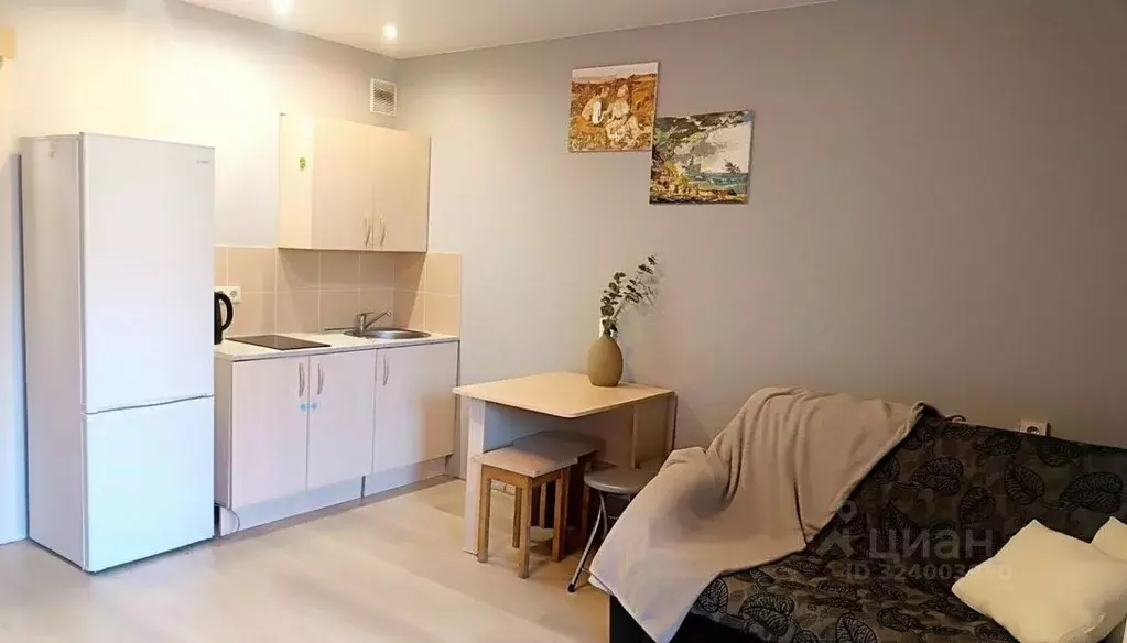 Студия Новосибирская область, Новосибирск Стрижи мкр, 4 (25.4 м) - Фото 1