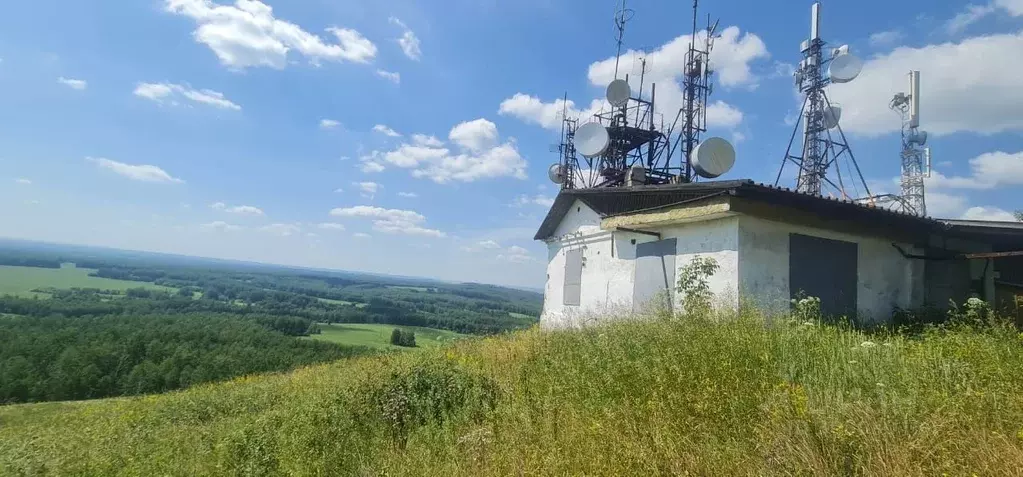 Помещение свободного назначения в Новосибирская область, Тогучинский ... - Фото 0