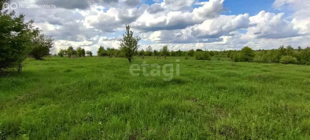 Участок в Рамонский район, Русскогвоздёвское сельское поселение, село ... - Фото 0