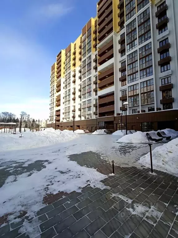 Студия Пензенская область, Пенза ул. Шмидта, 3 (21.0 м) - Фото 2